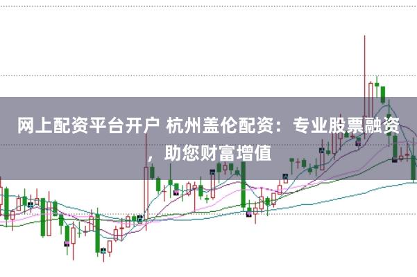 网上配资平台开户 杭州盖伦配资：专业股票融资，助您财富增值
