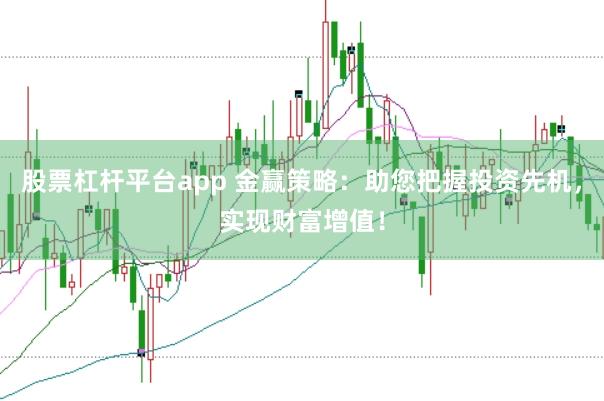 股票杠杆平台app 金赢策略：助您把握投资先机，实现财富增值！