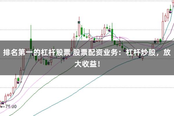 排名第一的杠杆股票 股票配资业务：杠杆炒股，放大收益！