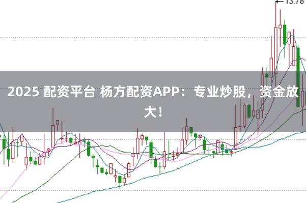 2025 配资平台 杨方配资APP：专业炒股，资金放大！