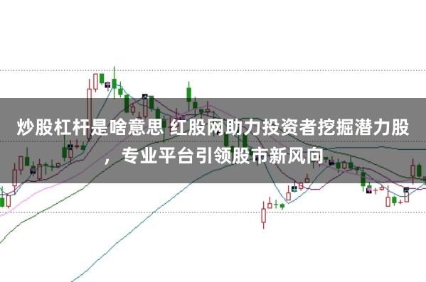 炒股杠杆是啥意思 红股网助力投资者挖掘潜力股，专业平台引领股市新风向