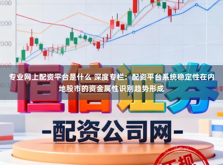 专业网上配资平台是什么 深度专栏：配资平台系统稳定性在内地股市的资金属性识别趋势形成