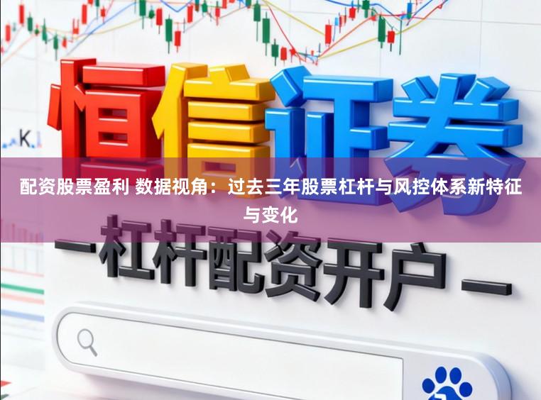 配资股票盈利 数据视角：过去三年股票杠杆与风控体系新特征与变化